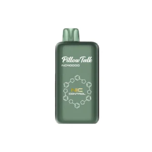 Winter Green Pillow Talk – IC40000 Puffs Disposable