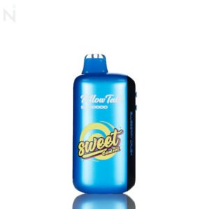 blueberry-crush-pillow-talk-ic40k-puffs-sweet-control-disposable-vape